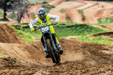 THOR Sentinel LTD Guard in acid color, XS/S size, protective gear for riding or motocross, with durable padding and secure fit.