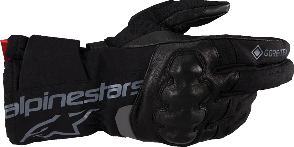 ALPINESTARS WT-4 Gore-Tex® Gloves - Black - Small 3520425-10-S