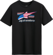 ALPINESTARS National CSF T-Shirt - Black/USA - Medium 1235-72365-1017-M