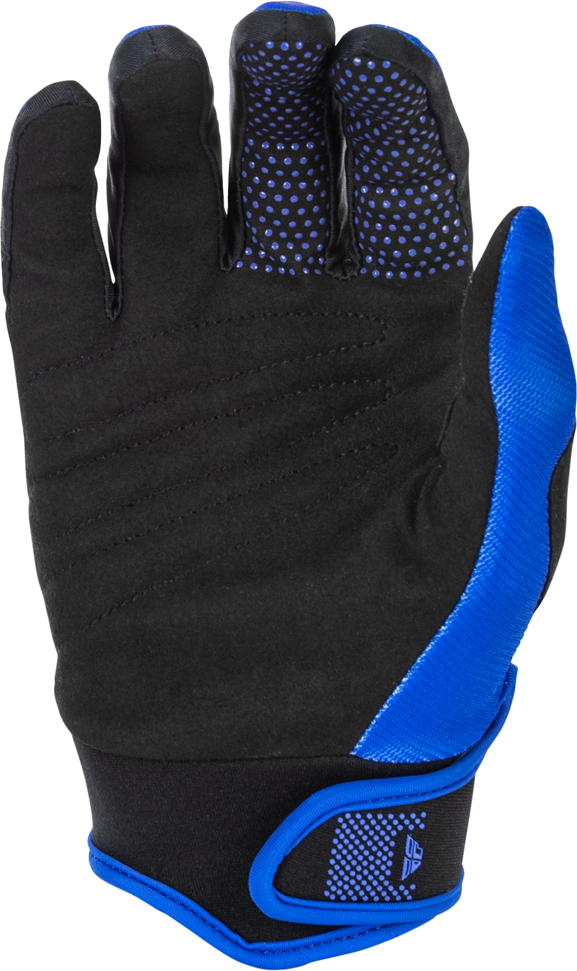 Youth F 16 Gloves Blue/White Y2xs